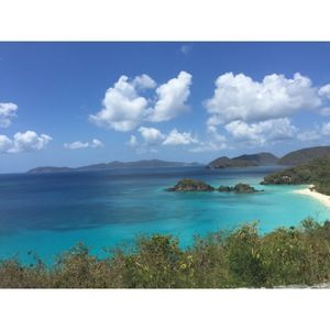 Meet your Posher, Toni